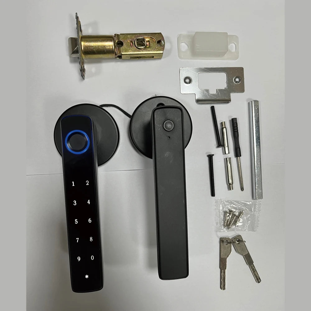 Biometric Smart Door Lock Electronic Lock Fingerprint Handle Split Digital Keyless Smart Lock